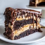 Close-up of a rich slice of chocolate peanut butter cake with thick peanut butter filling and chocolate ganache drip.